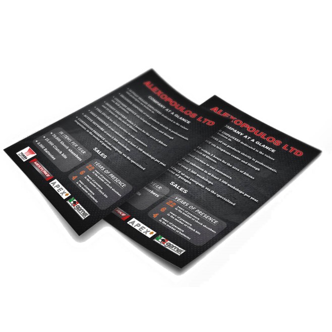 Flyer B6
